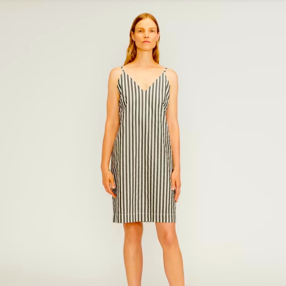 Everlane striped poplin dress